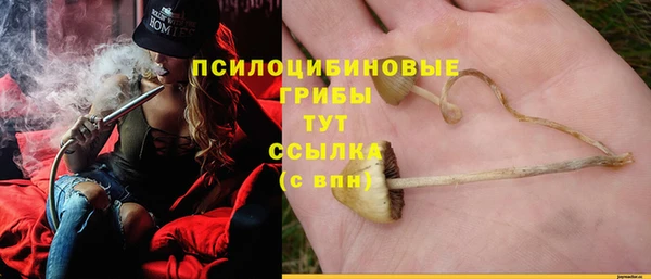 сатива Алзамай