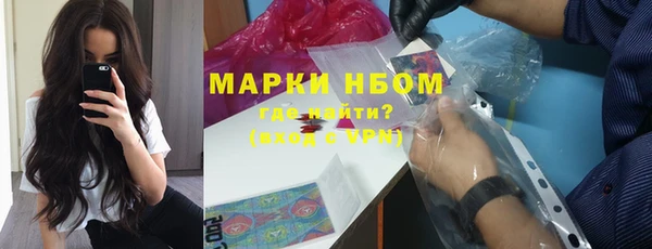 сатива Алзамай