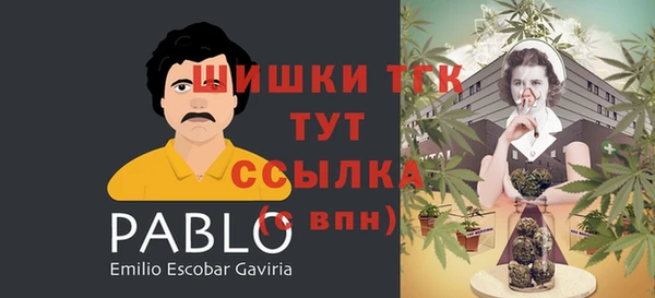 крисы Абдулино