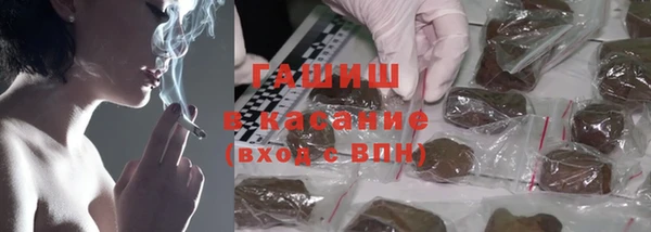 сатива Алзамай