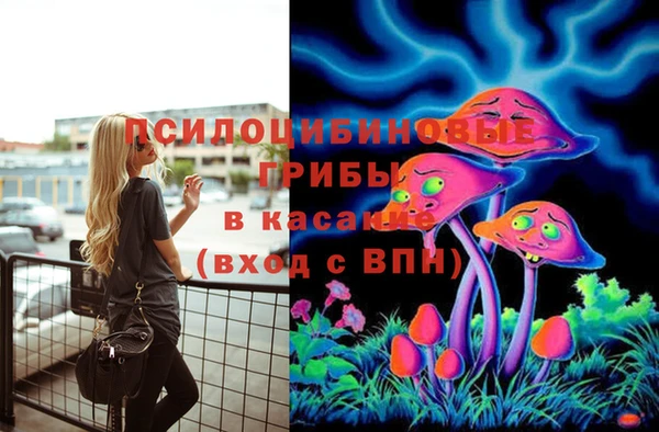 сатива Алзамай