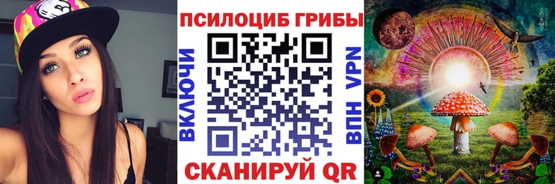 Псилоцибиновые грибы мицелий  магазин продажи   Мещовск 